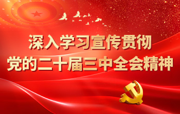 深入學(xué)習(xí)宣傳貫徹黨的二十屆三中全會精神